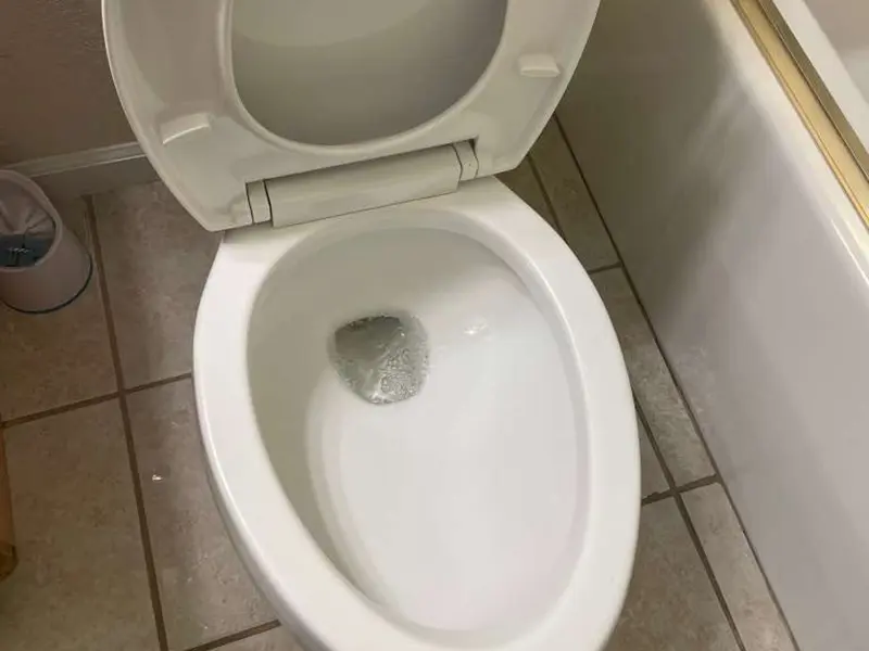 Gallery Thumbnail 10