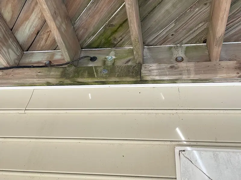 Gallery Thumbnail 20